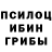 Галлюциногенные грибы Psilocybe de!taro