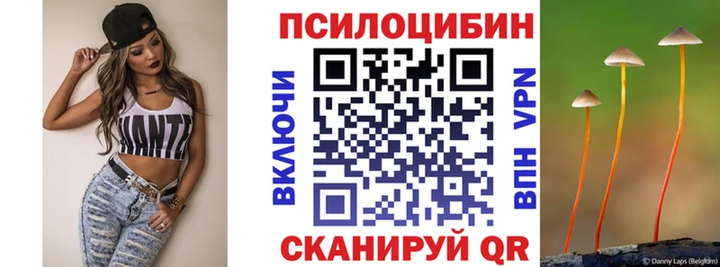 Псилоцибиновые грибы Cubensis Кашин